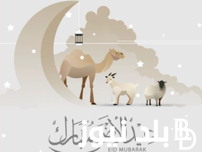 بوستات تهنئة بمناسبة عيد الاضحي 2024 .. “كل عام وانت بخير بهجة العيد ليست ليوم وحيد، بل هي فرحة لعمر مديد”