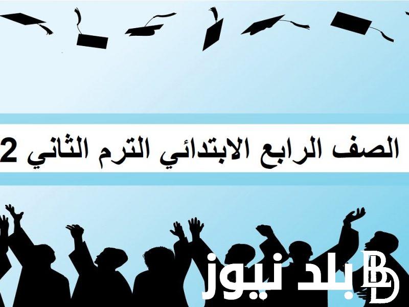 “رابط فعال” نتيجة الصف الرابع الابتدائي بالاسم فقط عبر natiga-4dk.net لجميع المحافظات في جمهورية مصر العربية