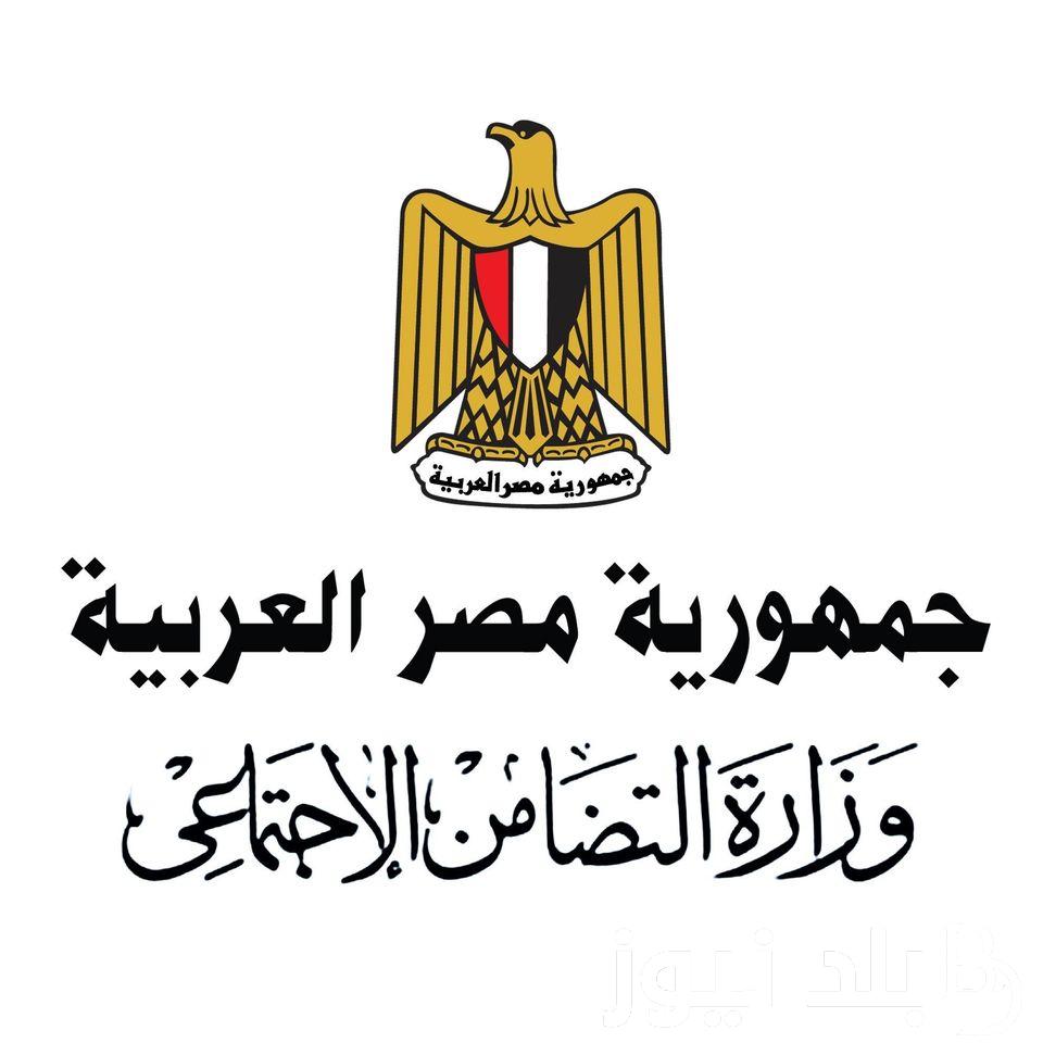 تفاصيل قانون المعاش المبكر ومكأفاة نهاية الخدمة.. وفقاً للائحة التنفيذية لقانون التأمينات الاجتماعية والمعاشات
