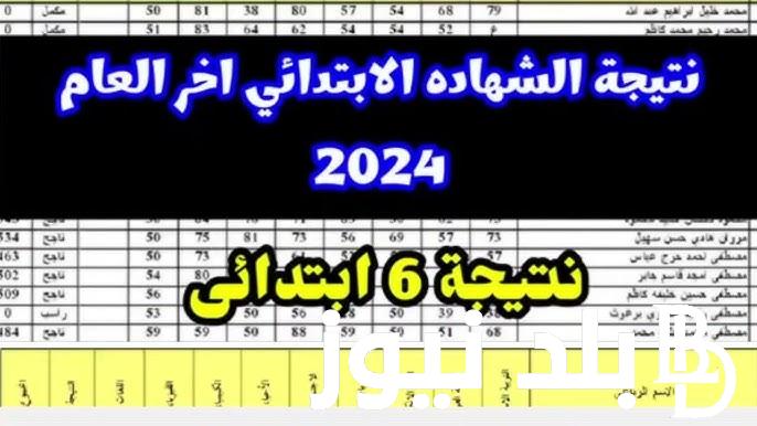 رابط نتيجه الصف السادس الابتدائي الترم الثاني 2024 عبر موقع وزارة التربية والتعليم