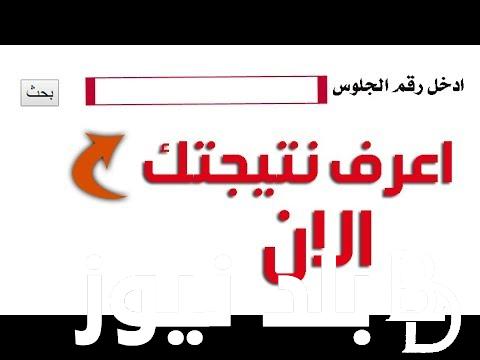 مبرك للناجحين.. نتيجة الصف الأول الإعدادي برقم الجلوس والاسم 2024 عبر موقع نتيجة نت الالكتروني natiga-4dk.net