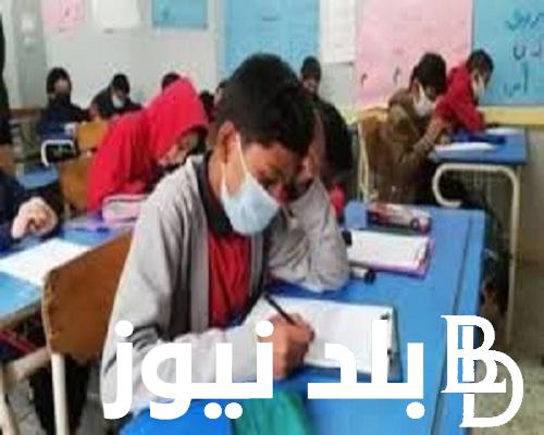 مَعـرفة نتيجة الصف الرابع الابتدائي 2024 الفصل الدراسي الثاني من خلال موقع بوابة التعليم الأساسي