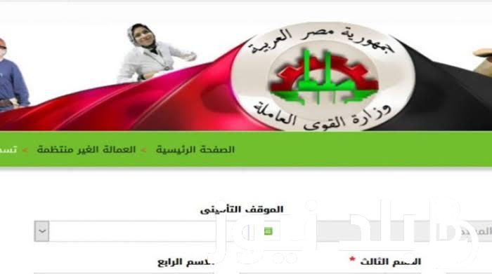 رابط تسجيل بيانات العمالة الغير منتظمة من الموبايل عبر www.manpower.gov.eg وخطوات الاستعلام بالرقم القومي 2024