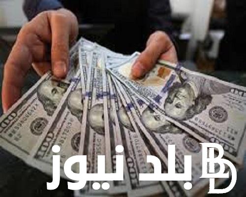 إعرف بكام سعر الدولار بل عراقي؟.. سعر صرف الدولار في العراق اليوم السبت 18 مايو 2024