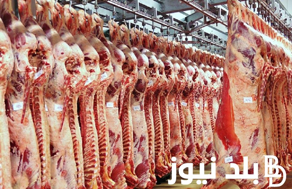 الفلتو بـ420 جنيه.. أسعار اللحوم اليوم الثلاثاء 28 مايو 2024 في الأسواق ومنافذ وزارة الزراعة