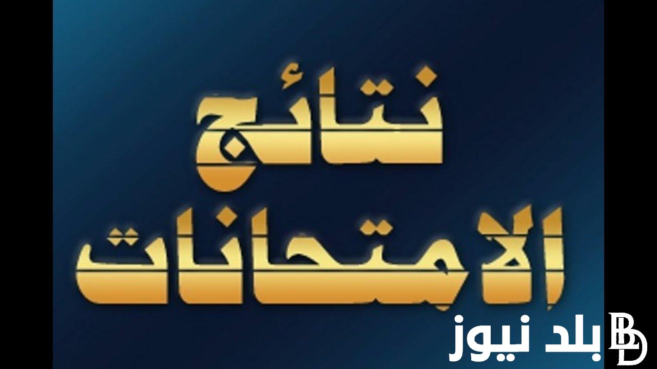 “احصل عليها الآن” نتيجة الصف الثاني الاعدادي بالاسم ورقم الجلوس 2024 الفصل الدراسي الثاني عبر بوابة التعليم الاساسي