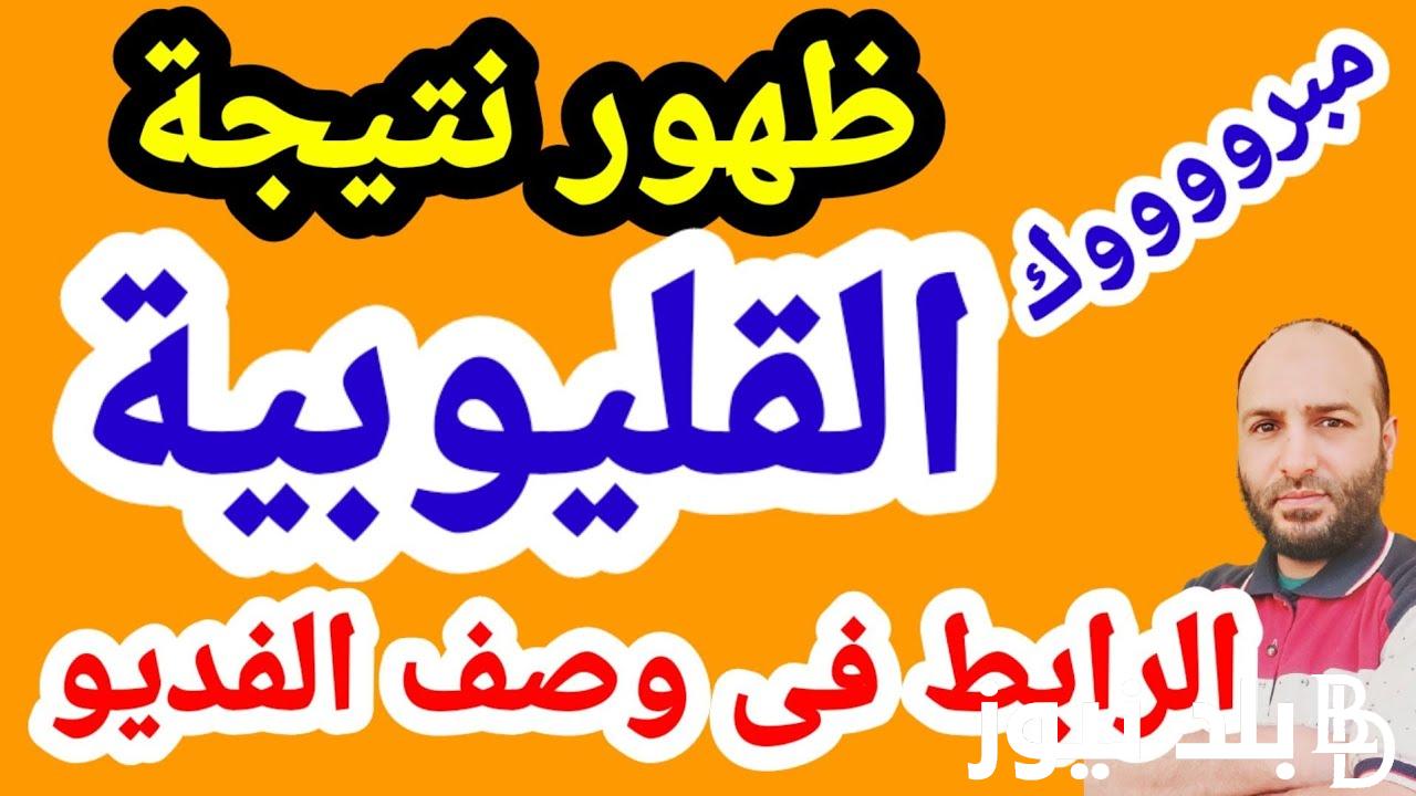 ترقبوا موعد ظهور نتيجة الشهادة الإعدادية محافظة القليوبية 2024 عبر موقع natiga-4dk.net
