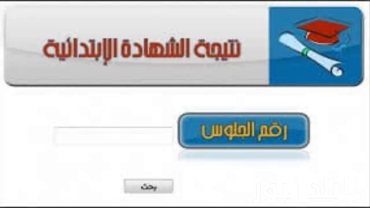 “اعرف درجاتك حالاً” نتيجة الصف السادس الابتدائي الترم الثاني 2024 بالاسم عبر نتيجة نت