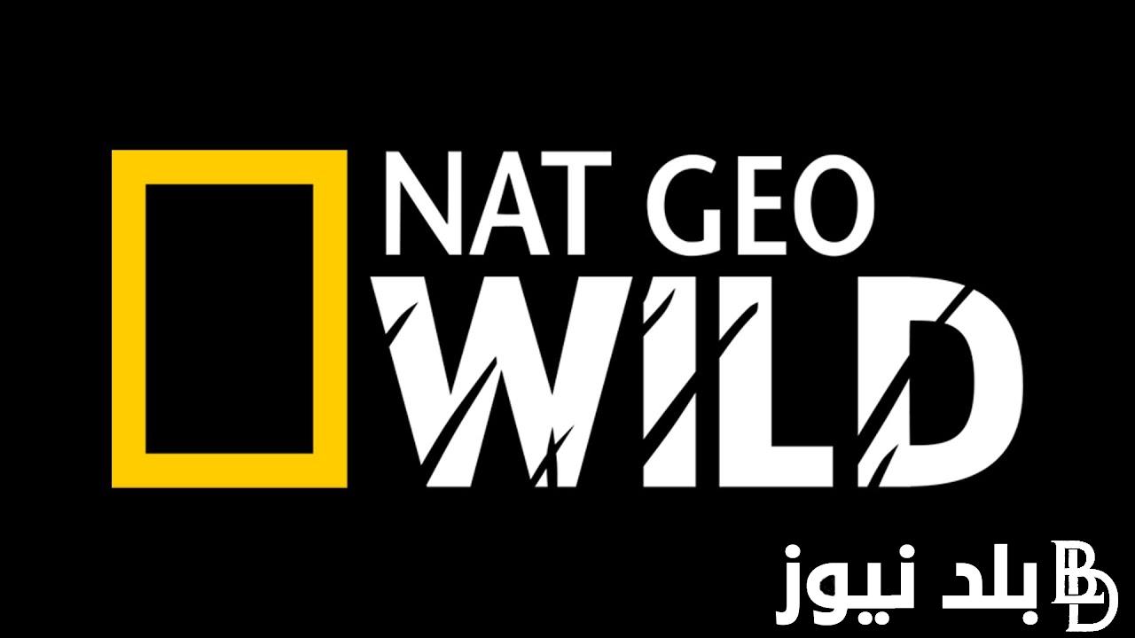 “الان إلتقط” تردد ناشيونال جيوغرافيك National Geographic 2024 على جميع الأقمار بأعلى جودة hd