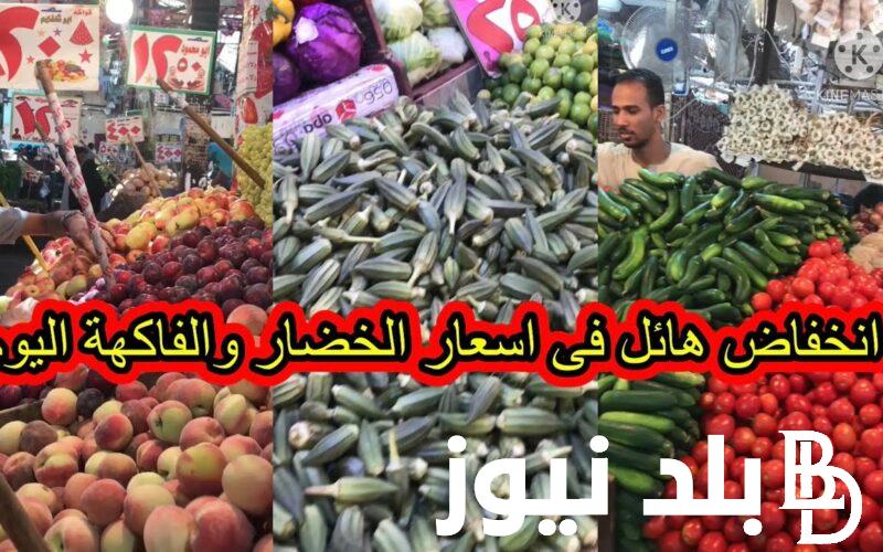 بكام؟.. أسعار الخضار والفواكه اليوم الخميس 16 مايو 2024 في سوق العبور
