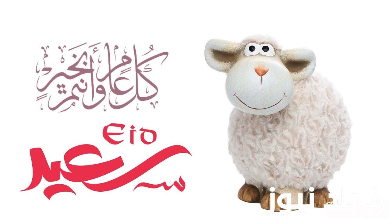 ” اهلا بالعيد ” موعد عيد الاضحى 2024 في الجزائر وجدول العطلات الرسمية.. الحكومة الجزائرية تُعلن التفاصيل