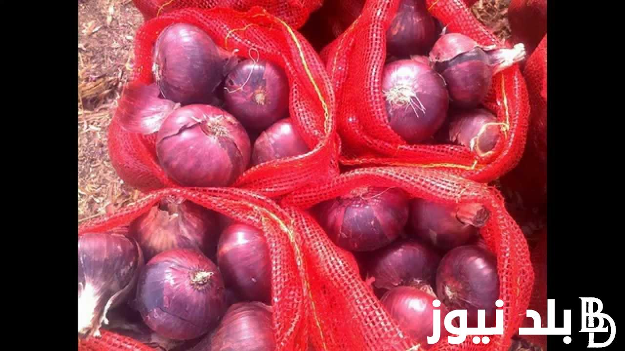 الآن.. اسعار البصل الاحمر للكيلو اليوم السبت 18 مايو 2024 للمستهلك في جميع الأسواق