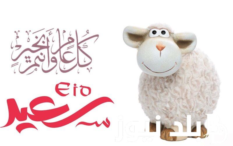تهنئة بمناسبة عيد الاضحي 2024 .. ” بأغلى المشاعر وكل معاني الحب والود والاحترام والتقدير، أهنئكم بحلول عيد الأضحى المبارك”