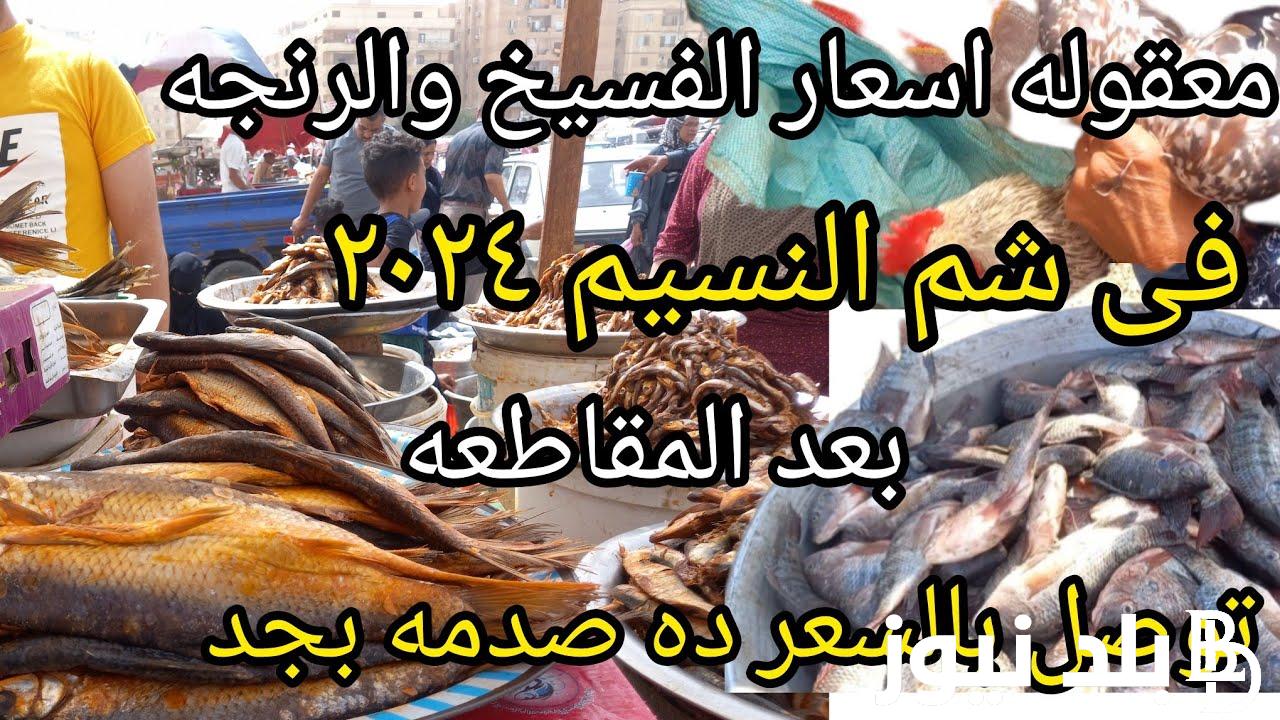 “هترخص تاني” اسعار الفسيخ والرنجه اليوم الثلاثاء 7-5-2024 بجميع المحلات التجارية والاسواق