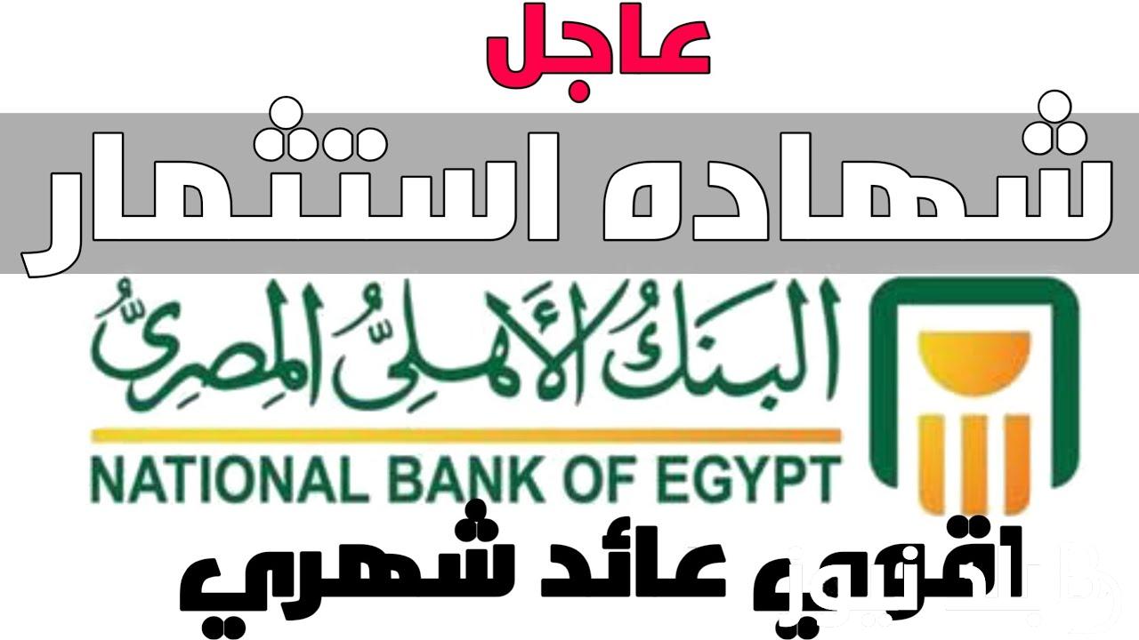 “اشتريها واكسب أضعاف” شهادات البنك الاهلي الجديدة 2024 بعد قرار المركزي بتثبيت سعر الفائدة على 600 نقطة أساس