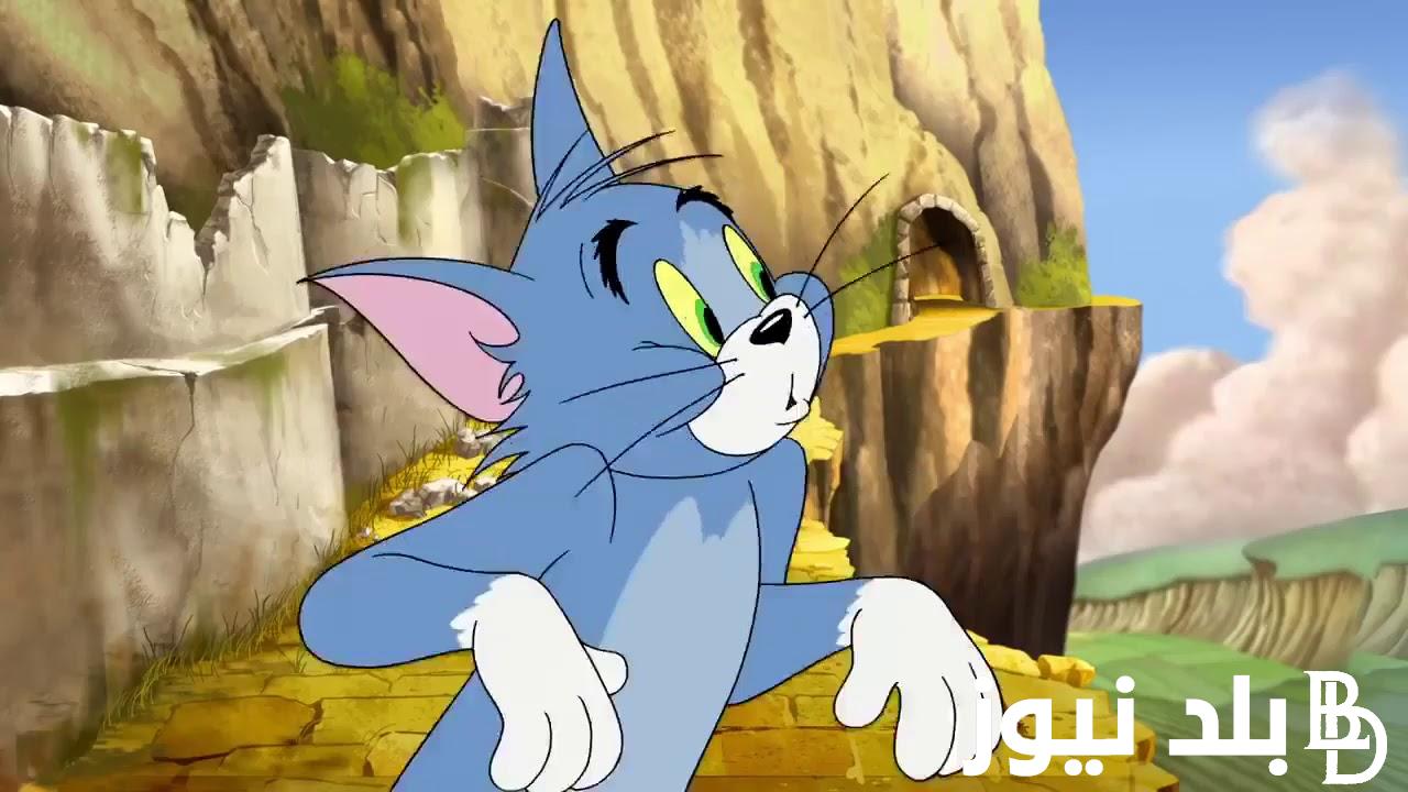 نزلها دلوقتي: تردد قناة توم وجيري 2024 Tom and Jerry لمتابعة اجمل برامج الكرتون علي النايل سات وعرب سات بجودة HD