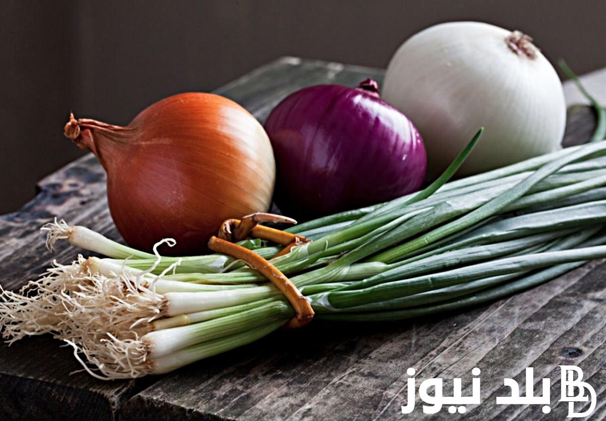“البصل في تراجع”.. اسعار البصل اليوم في سوق العبور بتاريخ 21 مايو 2024 للتجار والموزعين في مصر