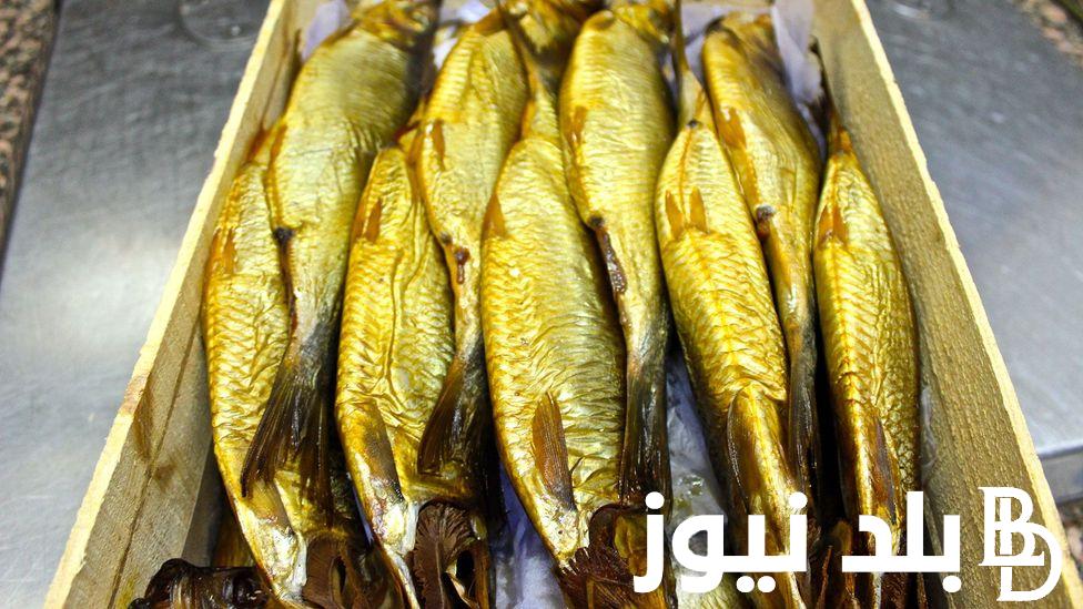 “الوجبة الرسمية في شم النسيم” سعر الرنجة اليوم الجمعة 3 مايو 2024 في الاسواق بالقاهرة والمحافظات
