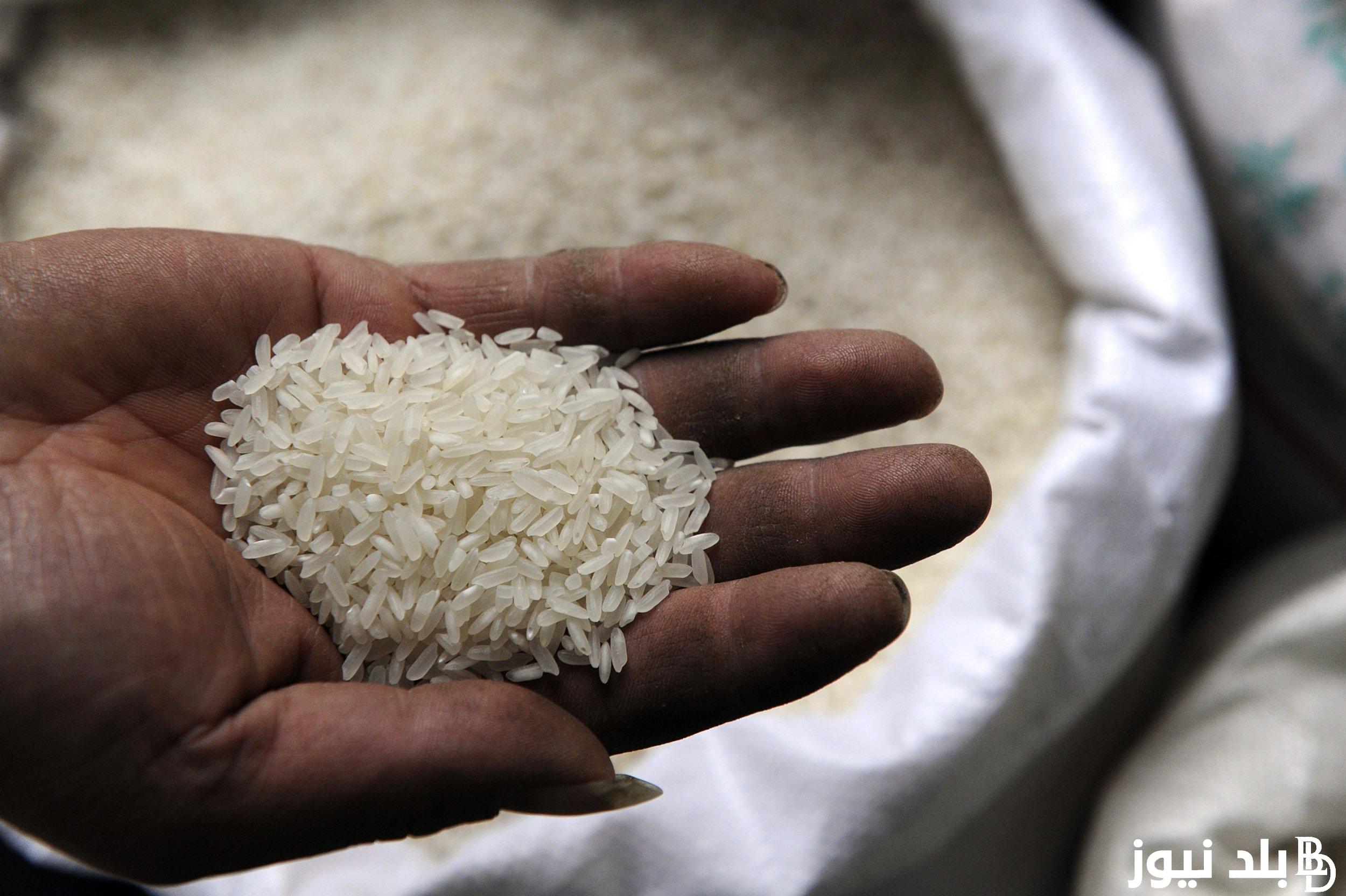 “رفيع وعريض” سعر طن الأرز الشعير اليوم الخميس بتاريخ 2/5/2024 في مصر للمستهلك