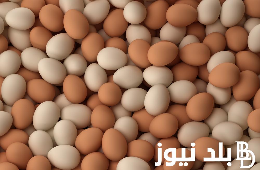 “جملة وقطاعي” سعر كرتونة البيض اليوم الثلاثاء 21 مايو 2024 للمستهلك في جميع الاسواق