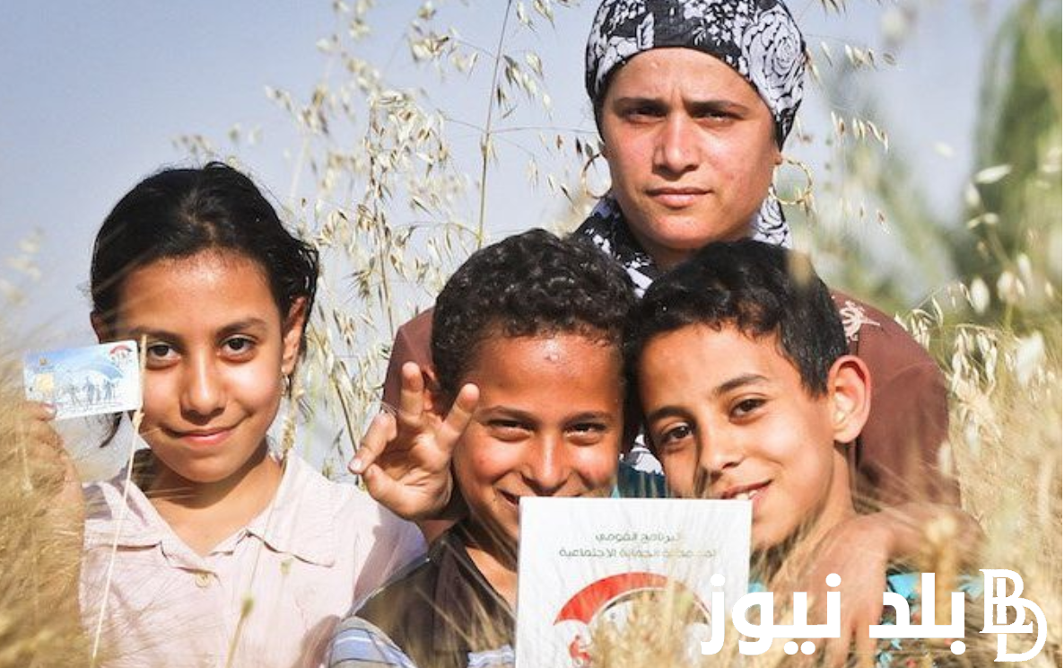 برابط فعال.. خطوات استعلام عن تكافل وكرامة بالرقم القومي 2024 والشروط المطلوبة
