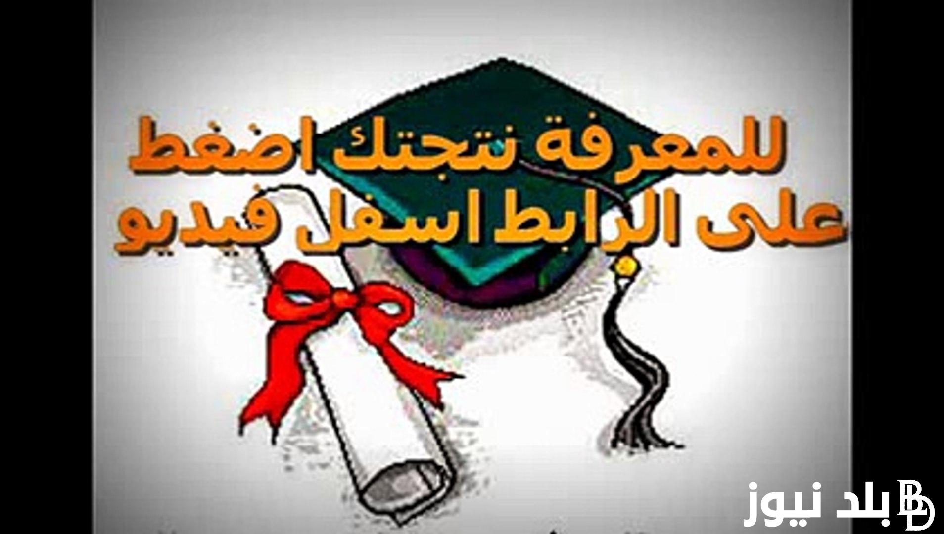 استخرج الان.. نتيجة الصف الرابع الابتدائي الترم الثاني 2024 برقم الجلوس فقط عبر موقع نتيجة نت