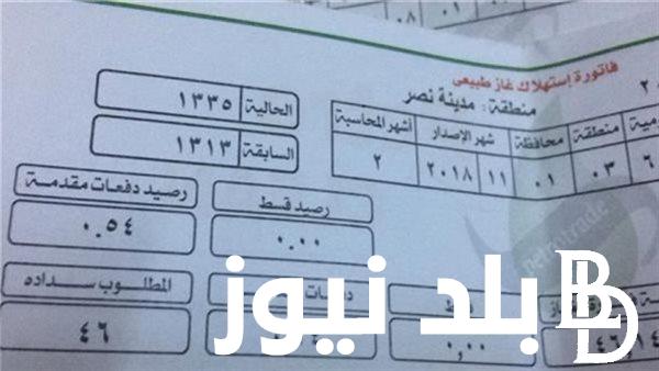 لعملاء شركة بتروتريد.. استعلام عن فاتورة الغاز لشهر مايو 2024 بالخطوات وتسجيل قراءة العداد