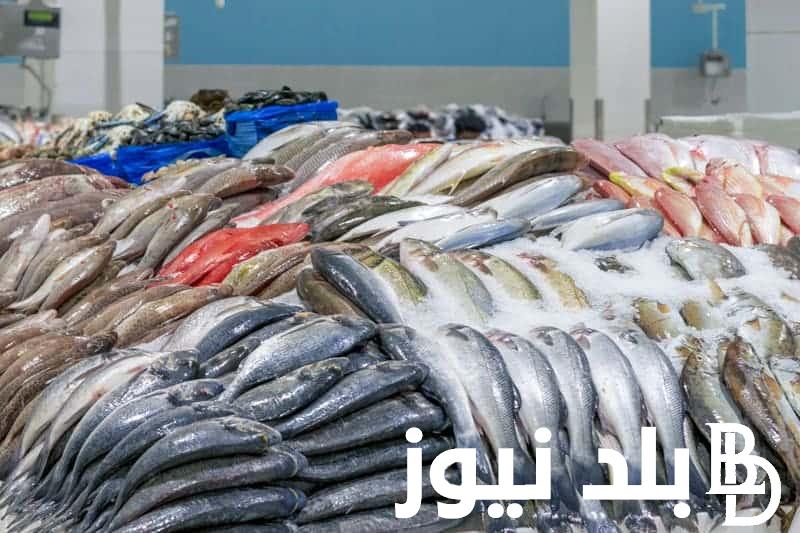 قائمة اسعار السمك اليوم الثلاثاء 14 مايو 2024 للمستهلك في سوق العبور
