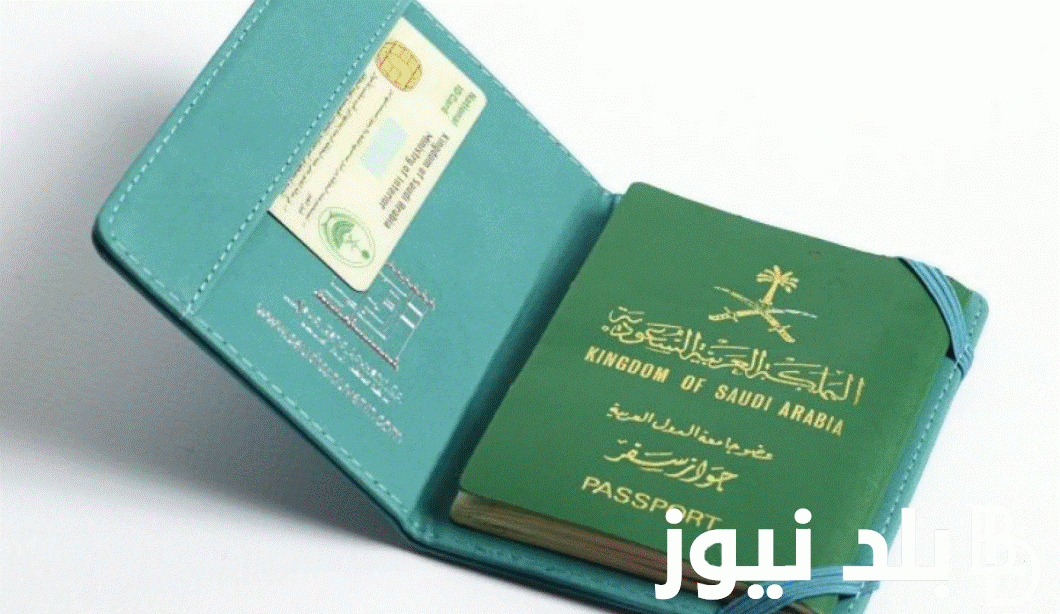 رابط الاستعلام عن تأشيرة السعودية برقم الجواز 2024 عبر visa.mofa.gov.sa