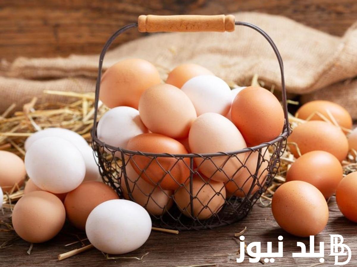 سعر كرتونة البيض اليوم الاربعاء 22 مايو 2024 للمستهلك في السوق المحلية