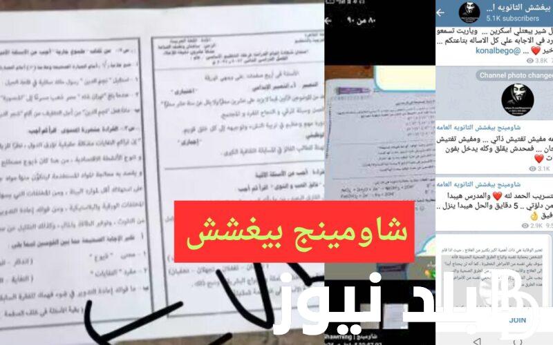 الآن لينك جروب شاومينج تليجرام تالتة اعدادي 2024 تسريب امتحانات 3 اعدادي