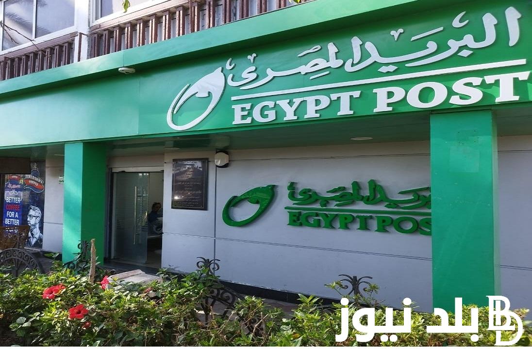 “ااسماء المقبولين” الاستعلام عن نتيجة مسابقة البريد المصري 2024 بالرقم القومي الأوراق المطلوبة للتعيين “jobs.caoa.gov.eg”