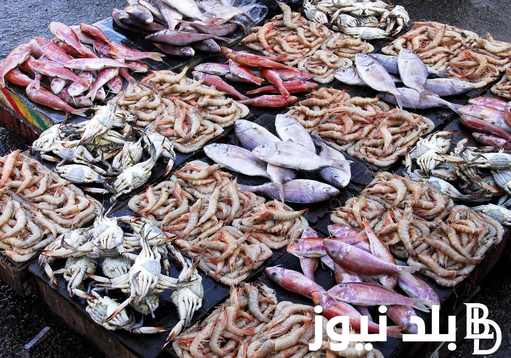 تراجع في الجمبري.. اسعار السمك اليوم السبت 25 مايو 2024 للمستهلك في الاسواق