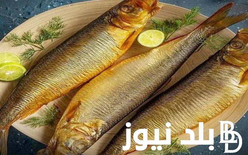 “الكيلو بـ120ج” سعر كيلو الرنجة اليوم السبت 4-5-2024 للمُستهلك بجميع الاسواق المحلية
