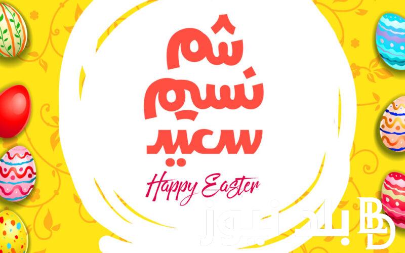 تهنئة بمناسبة عيد شم النسيم.. أرقي 10 رسائل وعبارات تلبي مختلف الأذواق