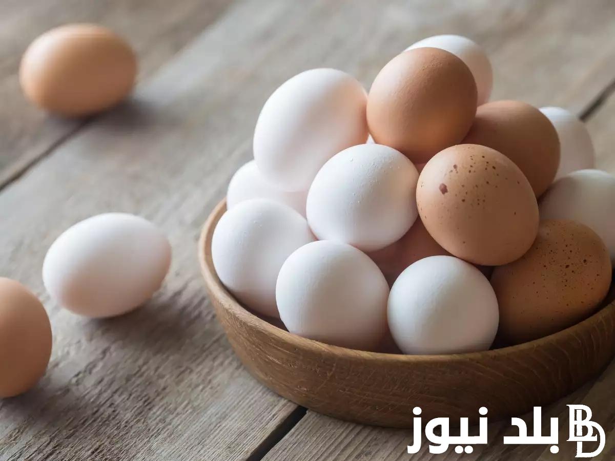 “أحمر وبلدي” سعر البيض اليوم الاثنين 27 مايو 2024 في جميع المحلات التجارية