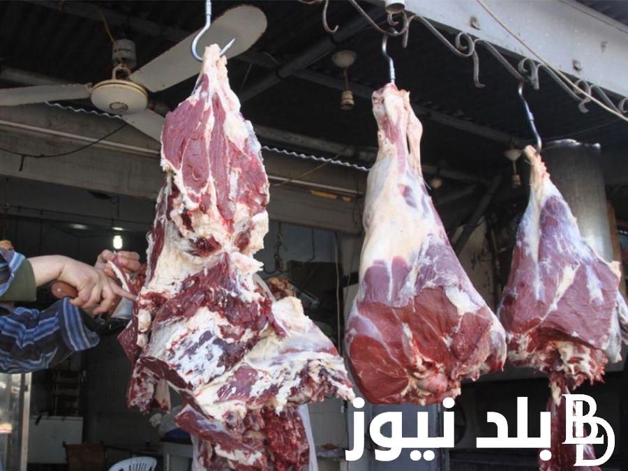 الضاني بـ 380 جنيه.. اسعار اللحوم اليوم الاربعاء 22 مايو 2024 في الاسواق ومنافذ وزارة الزراعة