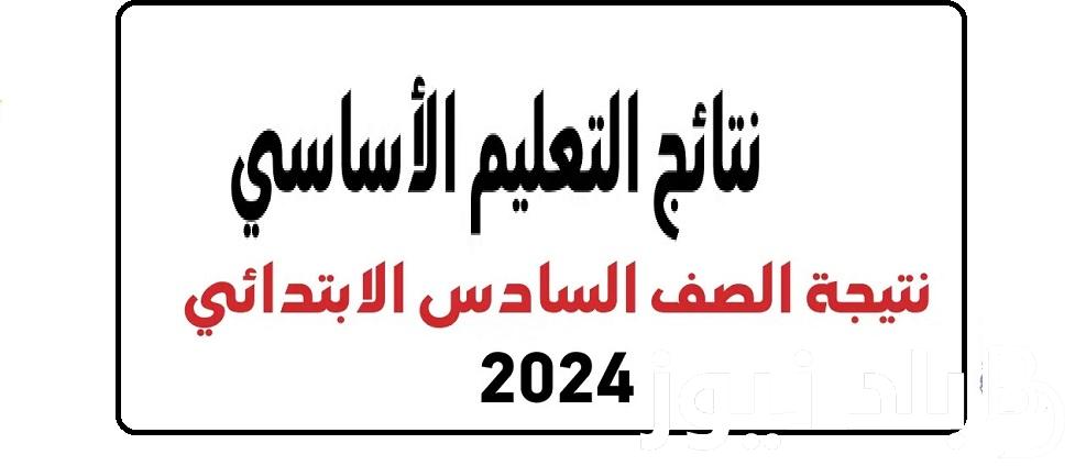 بالألوان” 6 ابتدائي”.. لينك نتيجة الصف السادس الابتدائي الترم الثاني 2024 جميع المحافظات بوابة eduserv.cairo التعليم الأساسي