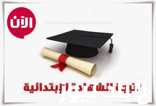 نتيجة الصف السادس الابتدائي بالرقم القومي 2024 عبر موقع بوابة نتائج التعليم الاساسي ونتيجة نت