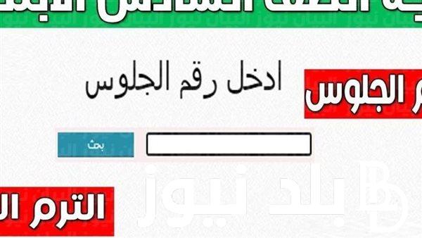 الان.. نتيجة الصف السادس الابتدائى الترم الثانى 2024 عبر بوابة التعليم الأساسي الرسمي