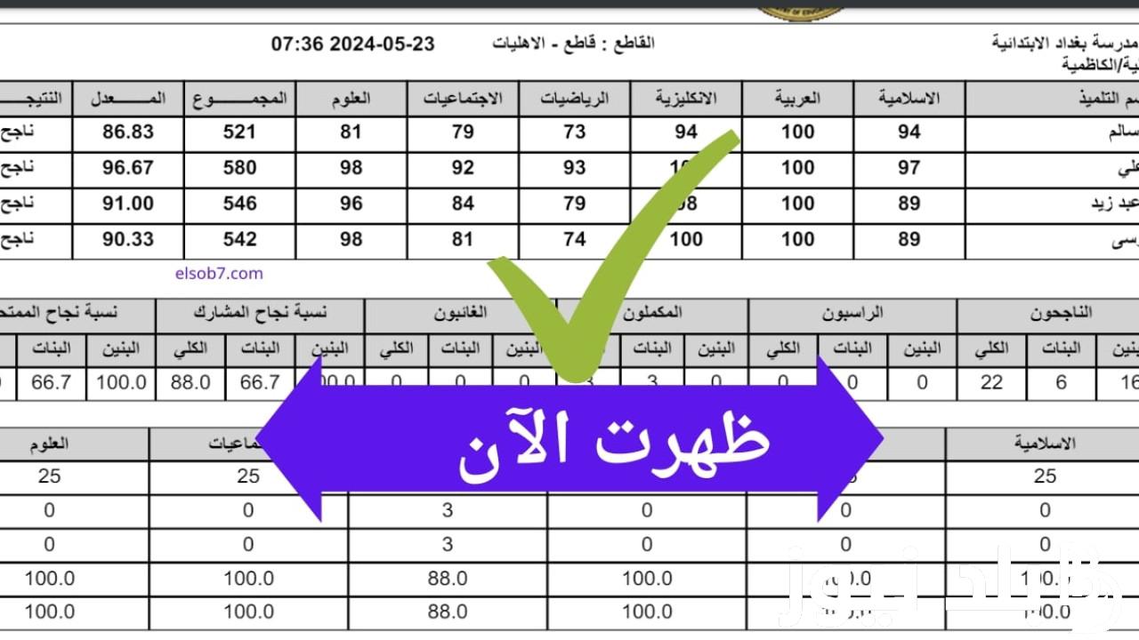 “ظهرت الآن” نتائج السادس ابتدائي محافظة النجف الدور الاول 2024 عبر موقع نتائجنا