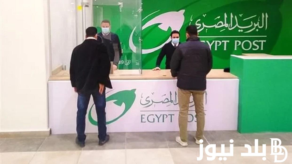 هناا “jobs.caoa.gov.eg”- لينك إستعلام عن نتيجة مسابقة البريد المصري 2024 والأوراق المطلوبة للمقبولين بوابة الوظائف الحكومية