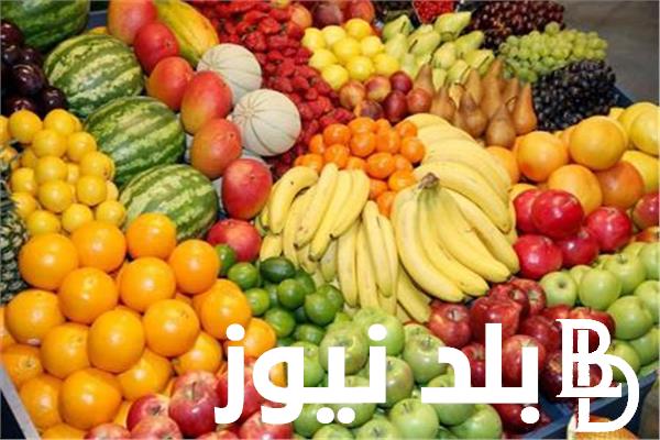 كيلو البطيخ بكام انهاردة؟ أسعار الفاكهة اليوم الاحد 30 يوينو 2024 للمستهلك في الأسواق المحلية