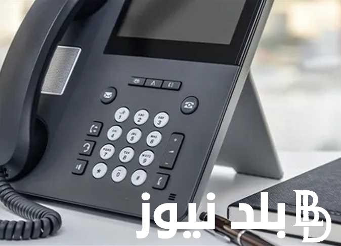 طريقة الاستعلام عن فاتورة التليفون الارضي 2024 اونلاين لعملاء المصرية للاتصالات