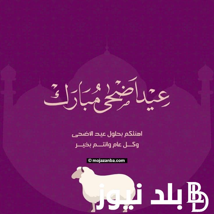 تهنئة عيد الأضحى رسمية.. بعبق الإيمان وروح التضحية كل عام وأنتم إلى الله أقرب