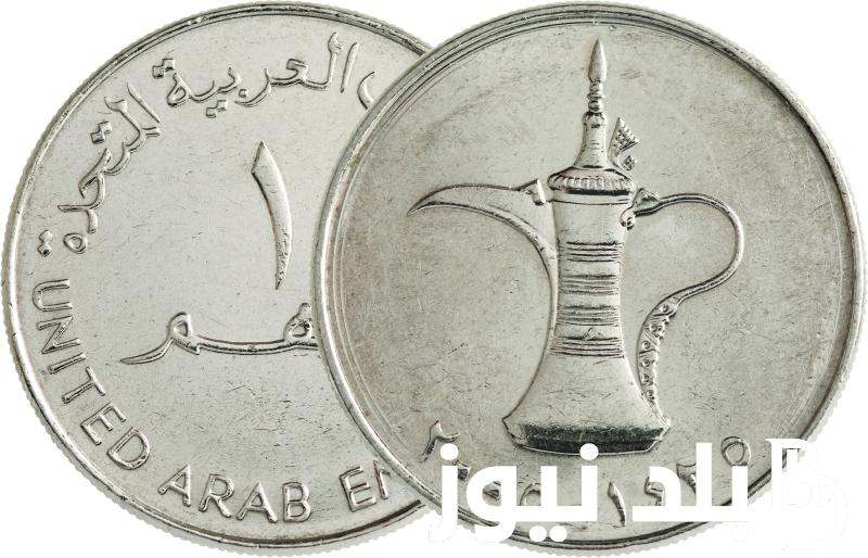 100 درهم اماراتي كام جنيه مصري؟ سعر الدرهم الإماراتي في السوق السوداء اليوم الموافق 13 يونيو 2024