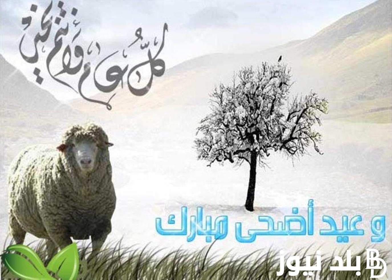 “العد التنازلي” موعد عيد الاضحي 2024 في الجزائر وقائمة العطلات الرسمية