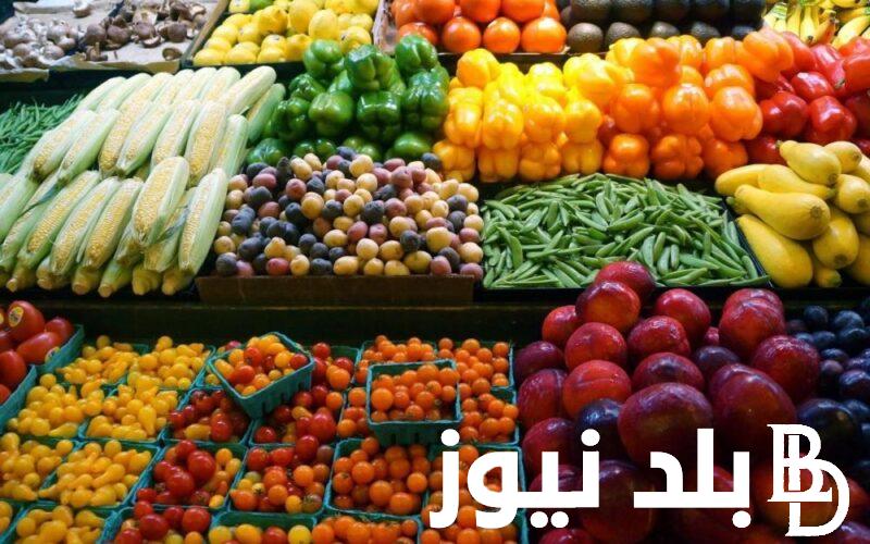 “فكهاني وبحب الفاكهه” أسعار الفاكهة اليوم الاربعاء 19-5-2024 تبعا للموقع الرسمي لسوق العبور