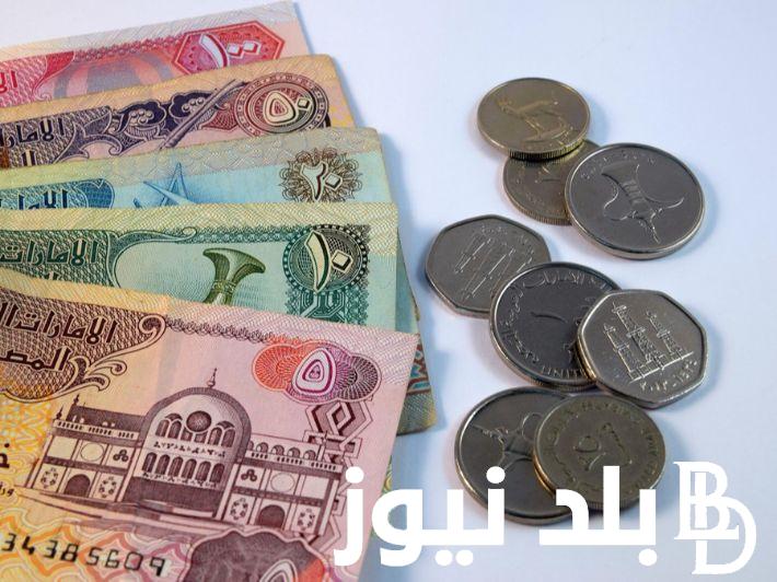 “سعر الإماراتي دلوقتي” 50 درهم إماراتي بكام جنيه مصري في السوق؟ اليوم الإربعاء الموافق 26 يونيو 2024