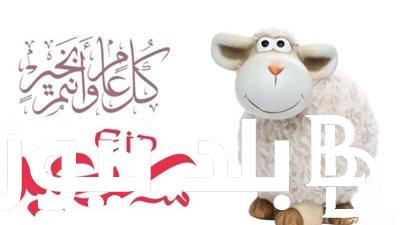متى موعد عيد الاضحى 2024 المانيا للعاملين بالقطاع العام والخاص.. أبرز عبارات التهنئة